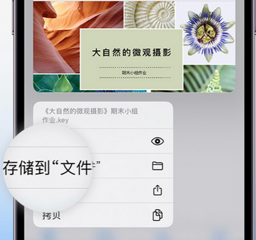 高昌apple维修中心分享iPhone文件应用中存储和找到下载文件