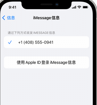 高昌apple维修iPhone上无法正常发送iMessage信息 