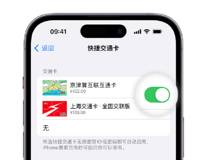 高昌apple维修点分享iPhone上更换Apple Pay快捷交通卡手绘卡面 