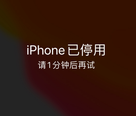 高昌苹果手机维修分享:iPhone 显示“不可用”或“已停用”怎么办？还能保留数据吗？ 