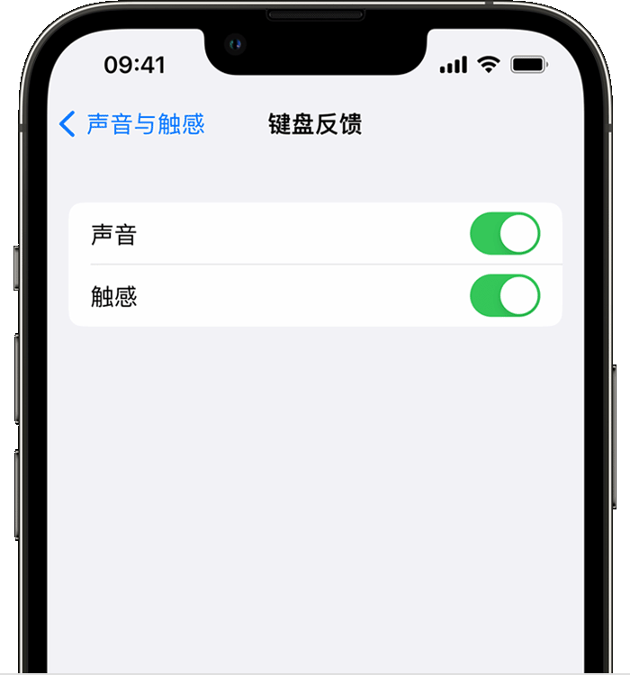 高昌苹果14维修店分享如何在 iPhone 14 机型中使用触感键盘 