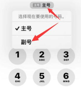 高昌苹果14维修店分享iPhone 14 Pro Max使用副卡打电话的方法 