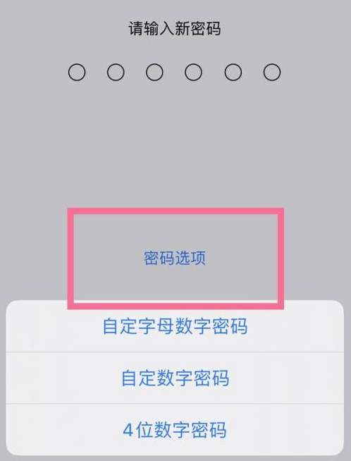 高昌苹果14维修分享iPhone 14plus设置密码的方法 