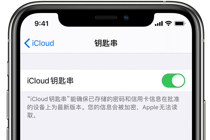 高昌苹果手机维修分享在 iPhone 上开启 iCloud 钥匙串之后会储存哪些信息 