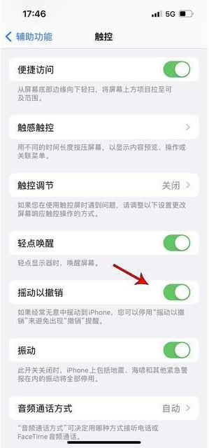 高昌苹果手机维修分享iPhone手机如何设置摇一摇删除文字 